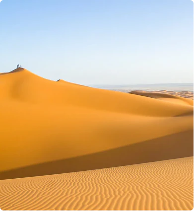 desert landscape