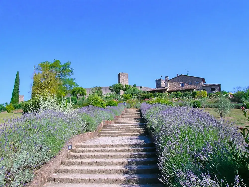 Galiwonders-Italy-Via-Francigena-Lucca-to-Siena-06-Approaching-the-beautiful-town-of-Monteriggioni-along-the-Via-Francigena-Trail