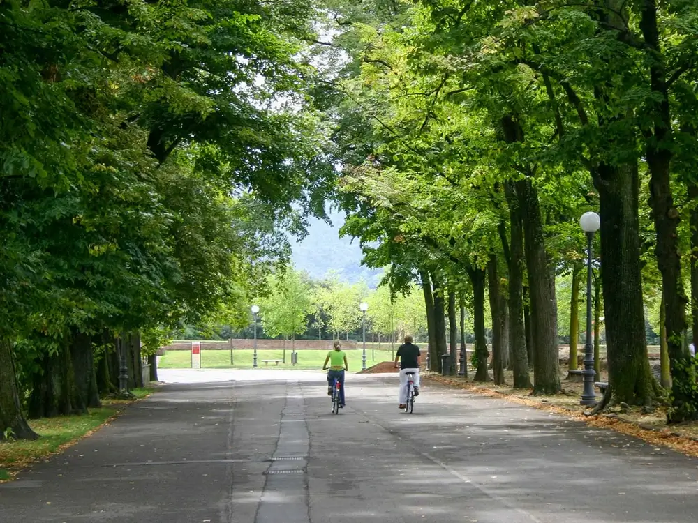 S-cape-Italy-Parma-to-Siena-03-Biking-in-the-street-covered-by-the-shade-on-Via-Francigena0