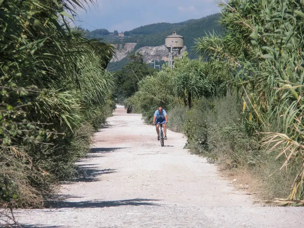 S-cape-Italy-Parma-to-Siena-08-Biker-cycling-on-the-path-of-Via-Francigena-between-Parma-and-Siena0