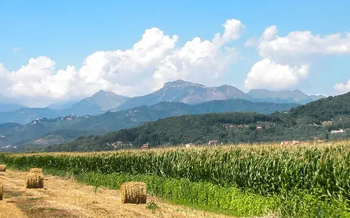 S-cape-Italy-Parma-to-Siena-1940x480-Pano-of-Mountains-and-farm-along-the-Via-Francigena-in-Italy-690x430-1