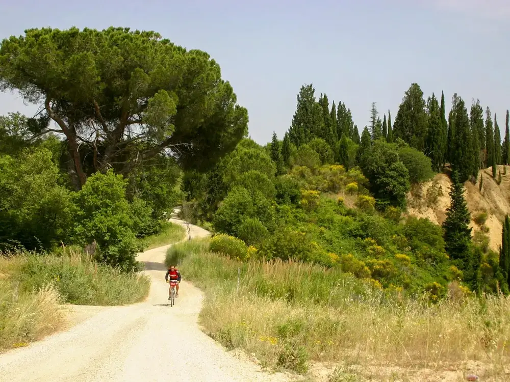 S-cape-Italy-francigena-bike-to-rome-07-Biker-on-Via-Francigena-Siena-to-Rome0