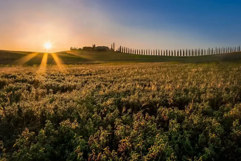 Tuscan-VIlla-Sunset