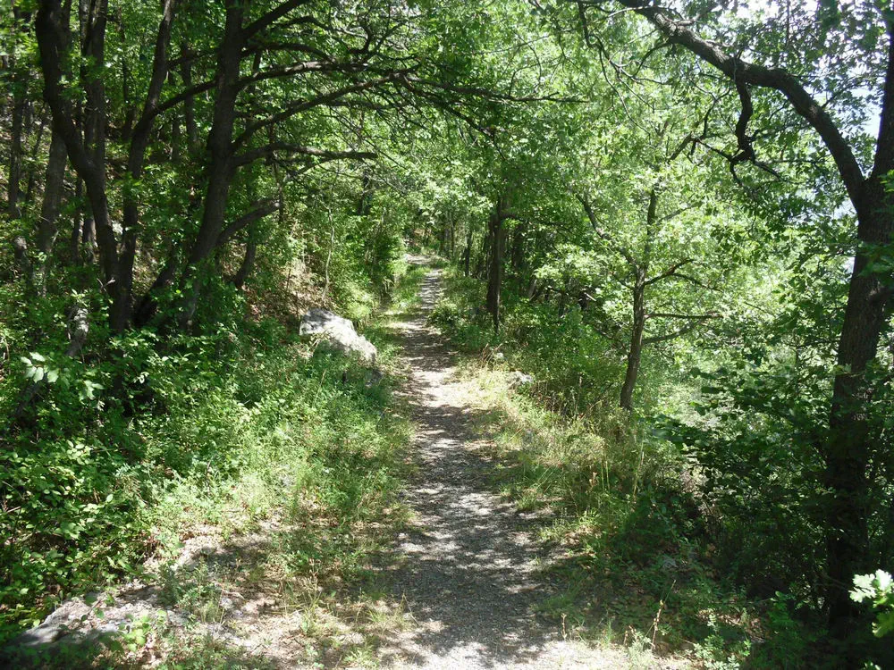 Via-Francigena-1-Saint-Bernard-Pass-to-Ivrea-11
