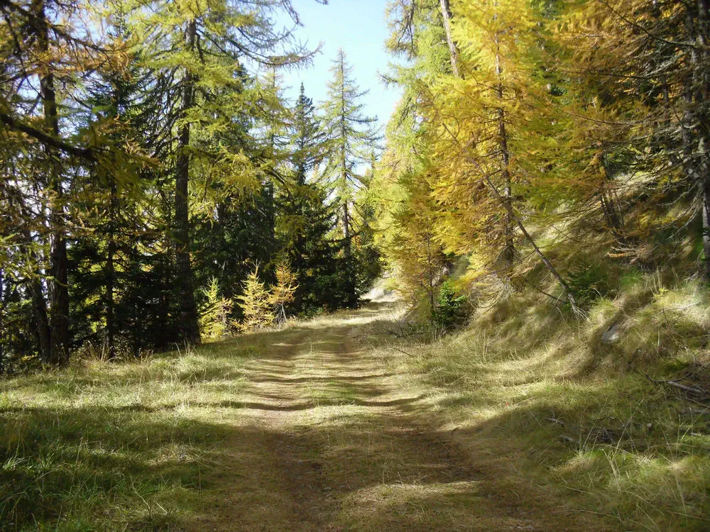 Via-Francigena-1-Saint-Bernard-Pass-to-Ivrea-18