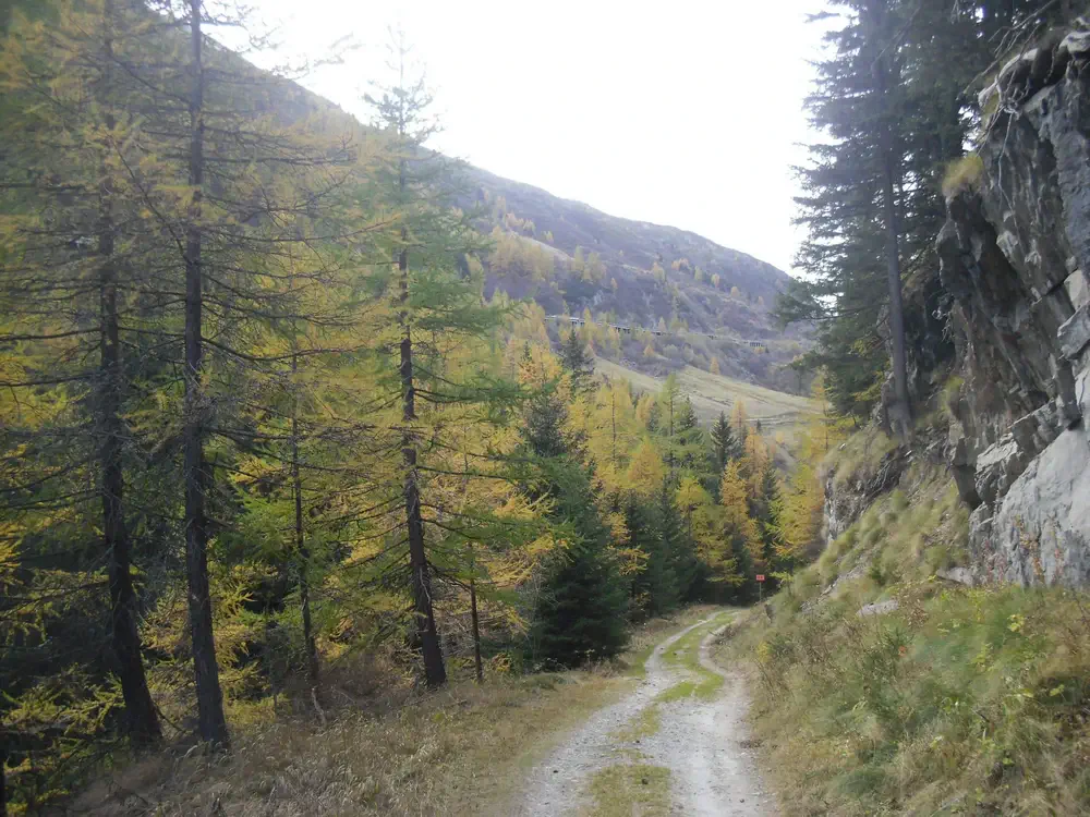 Via-Francigena-1-Saint-Bernard-Pass-to-Ivrea-7