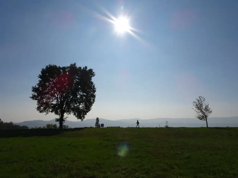 Via-Francigena-2-Ivrea-to-Pavia-14