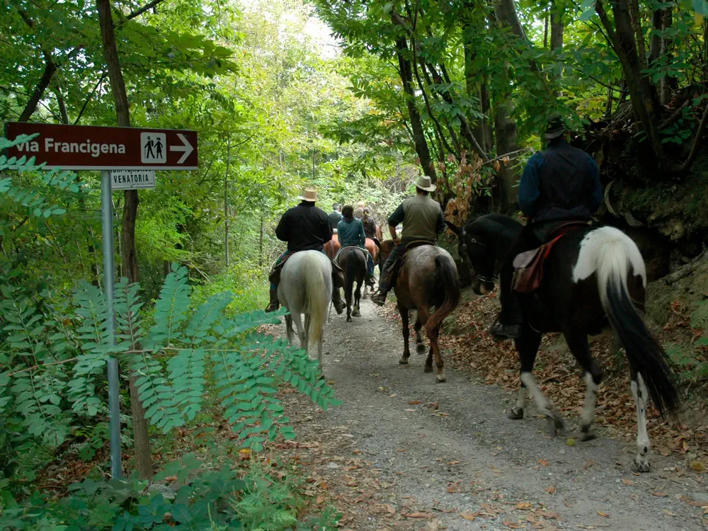 Via-Francigena-2-Ivrea-to-Pavia-15