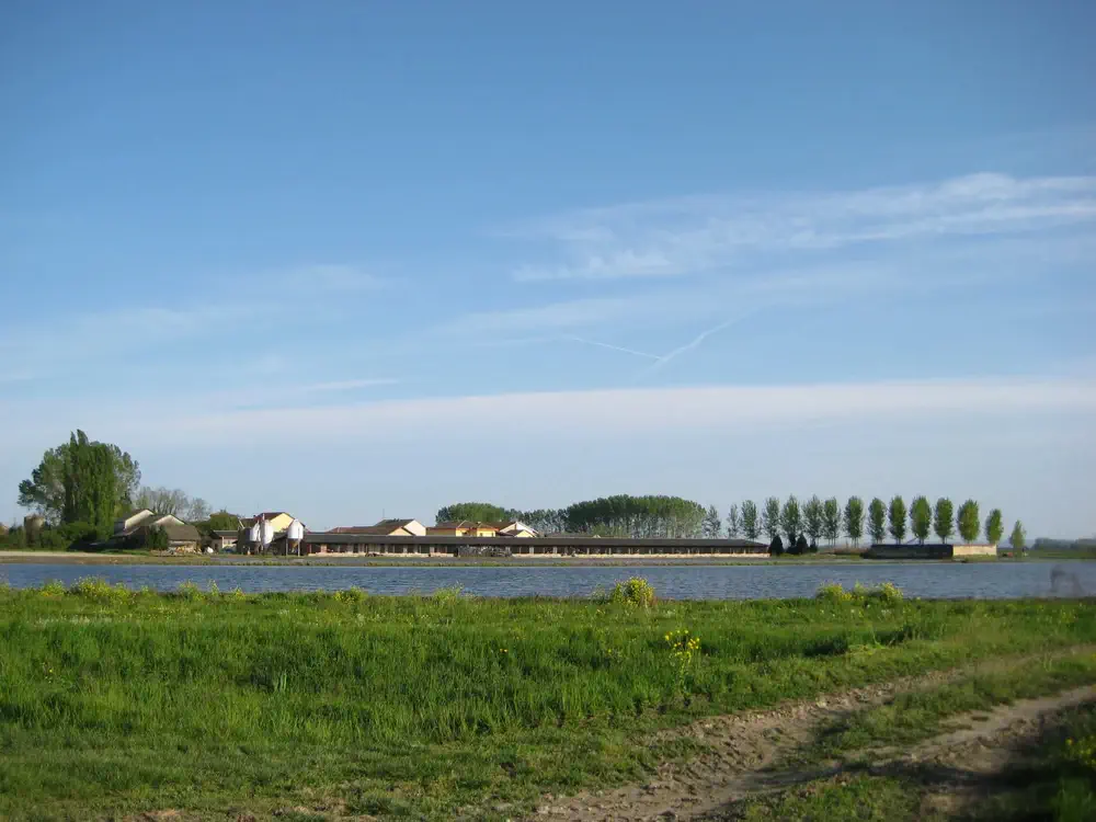 Via-Francigena-2-Ivrea-to-Pavia-16
