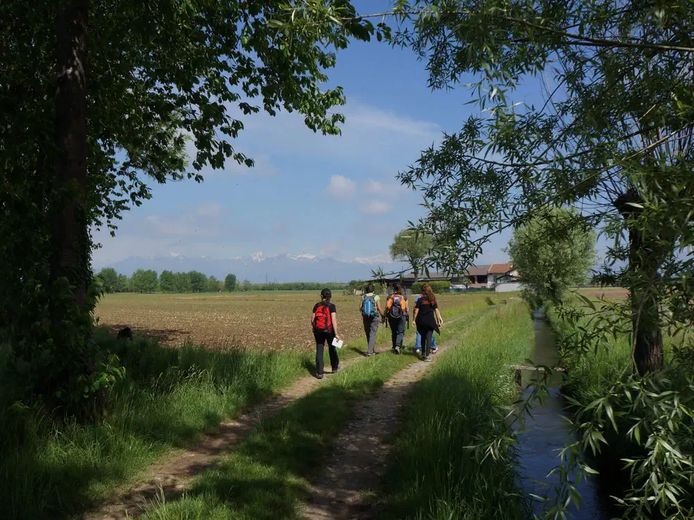 Via-Francigena-2-Ivrea-to-Pavia-19