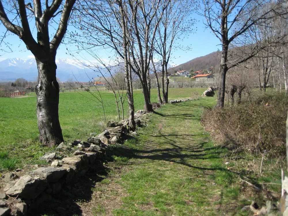 Via-Francigena-2-Ivrea-to-Pavia-7