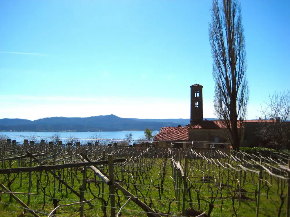 Via-Francigena-2-Ivrea-to-Pavia-8