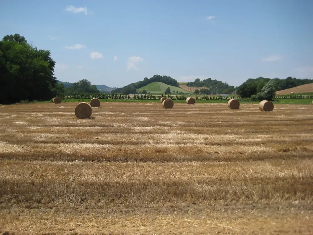 Via-Francigena-4-Fidenza-to-Pontremoli-02