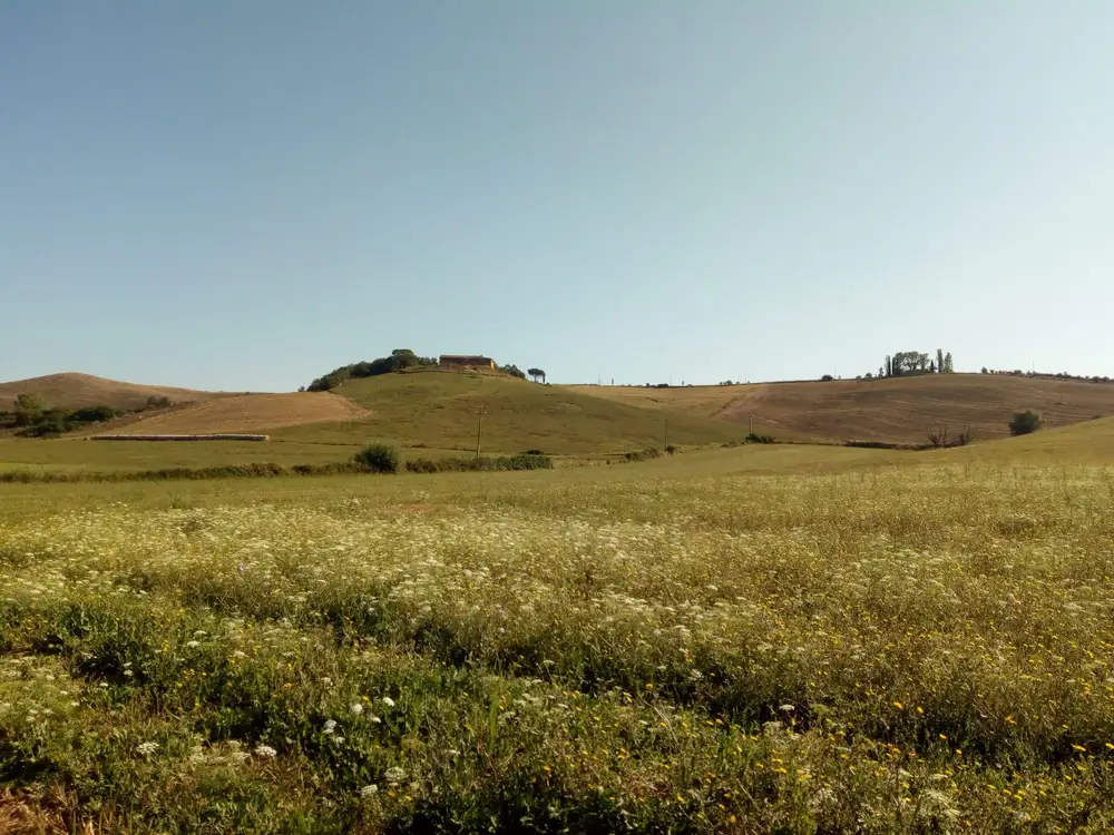 Via-Francigena-7-Siena-to-Montefiascone-06