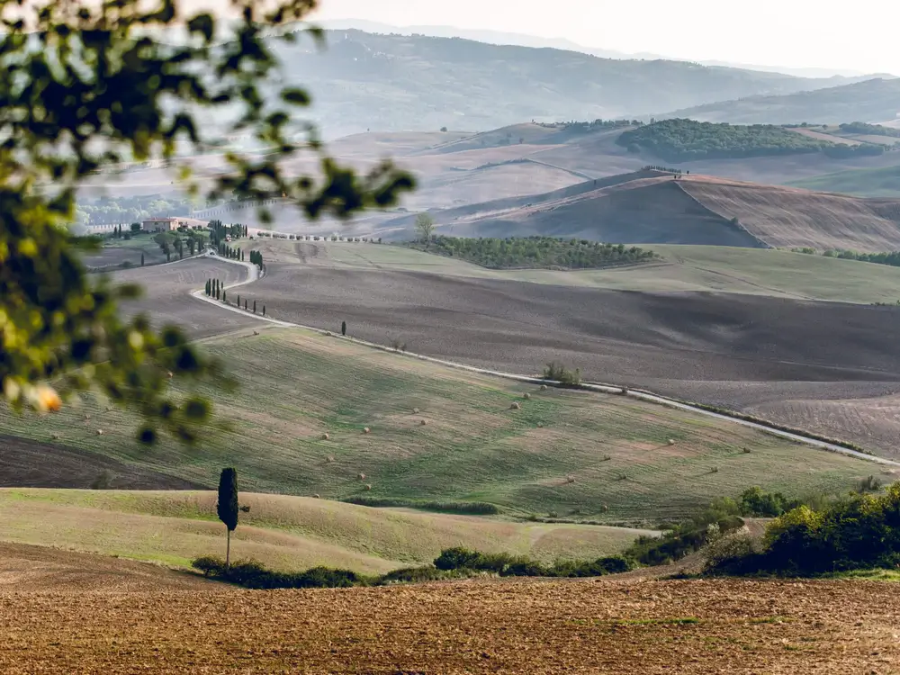 Via-Francigena-7-Siena-to-Montefiascone-10
