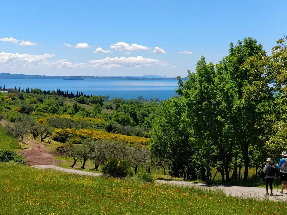 Via-Francigena-7-Siena-to-Montefiascone-5