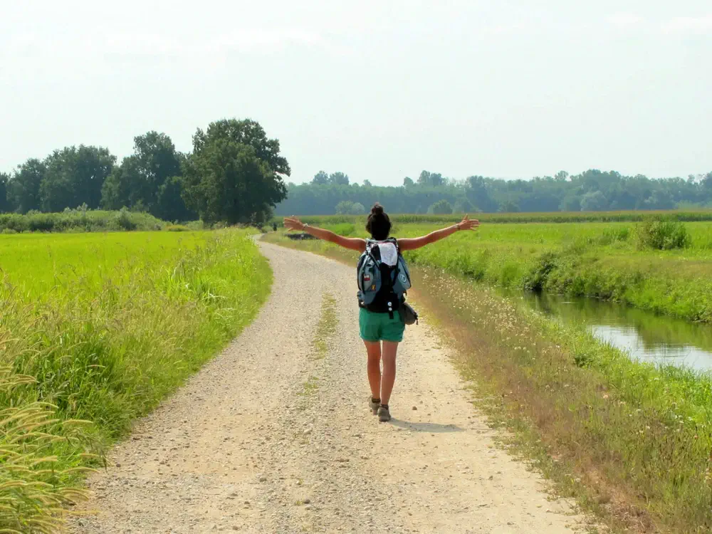 httpsmyviafrancigena.comwp-contentuploads202503Via-Francigena-2-Ivrea-to-Pavia-5