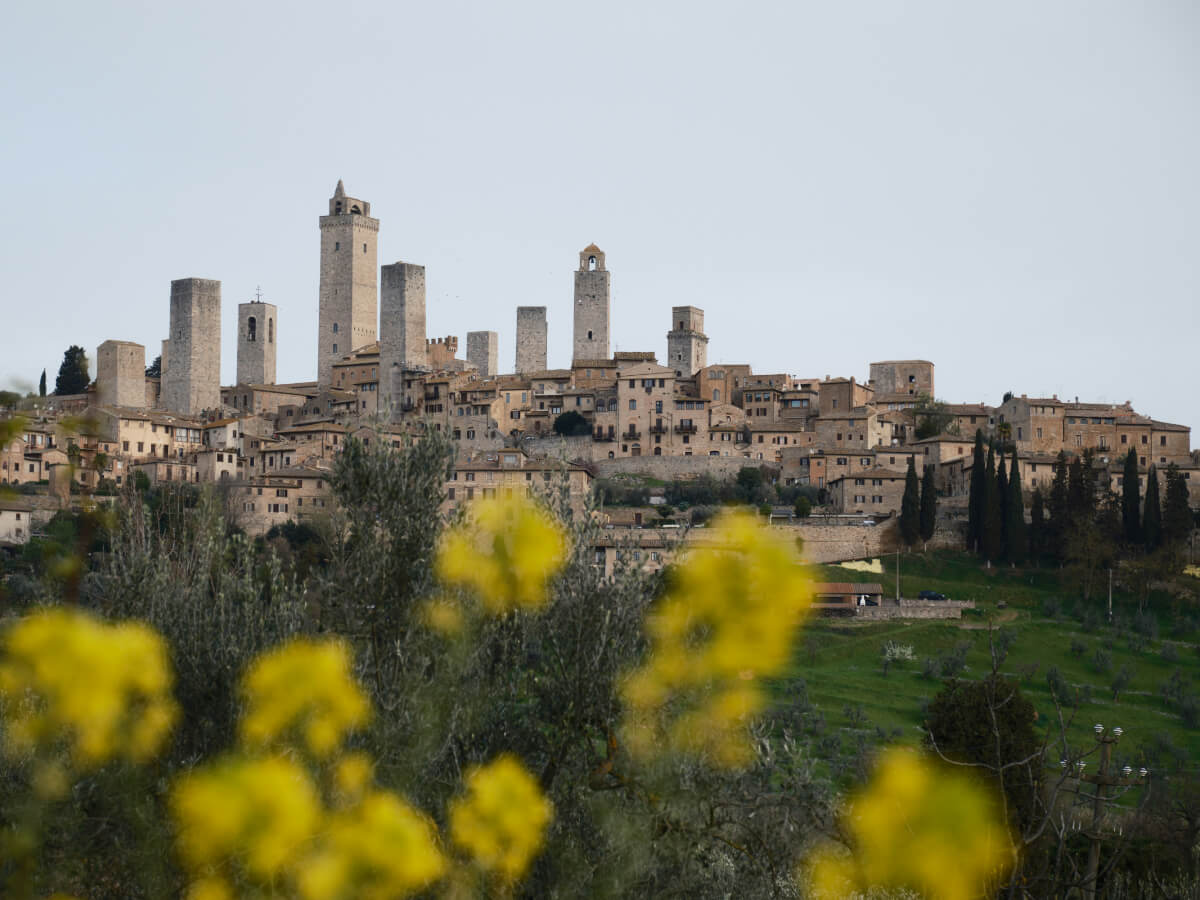 Pilgrims walking the Via Francigena through Tuscany vineyards